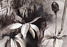 reveil-Françoise-Dubourg-Encre de Chine